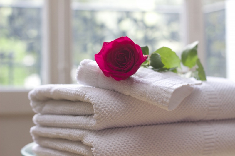 chambre-hote-PUGET SUR ARGENS-min_towel_rose_clean_care_salon_spa_white_bath-731641